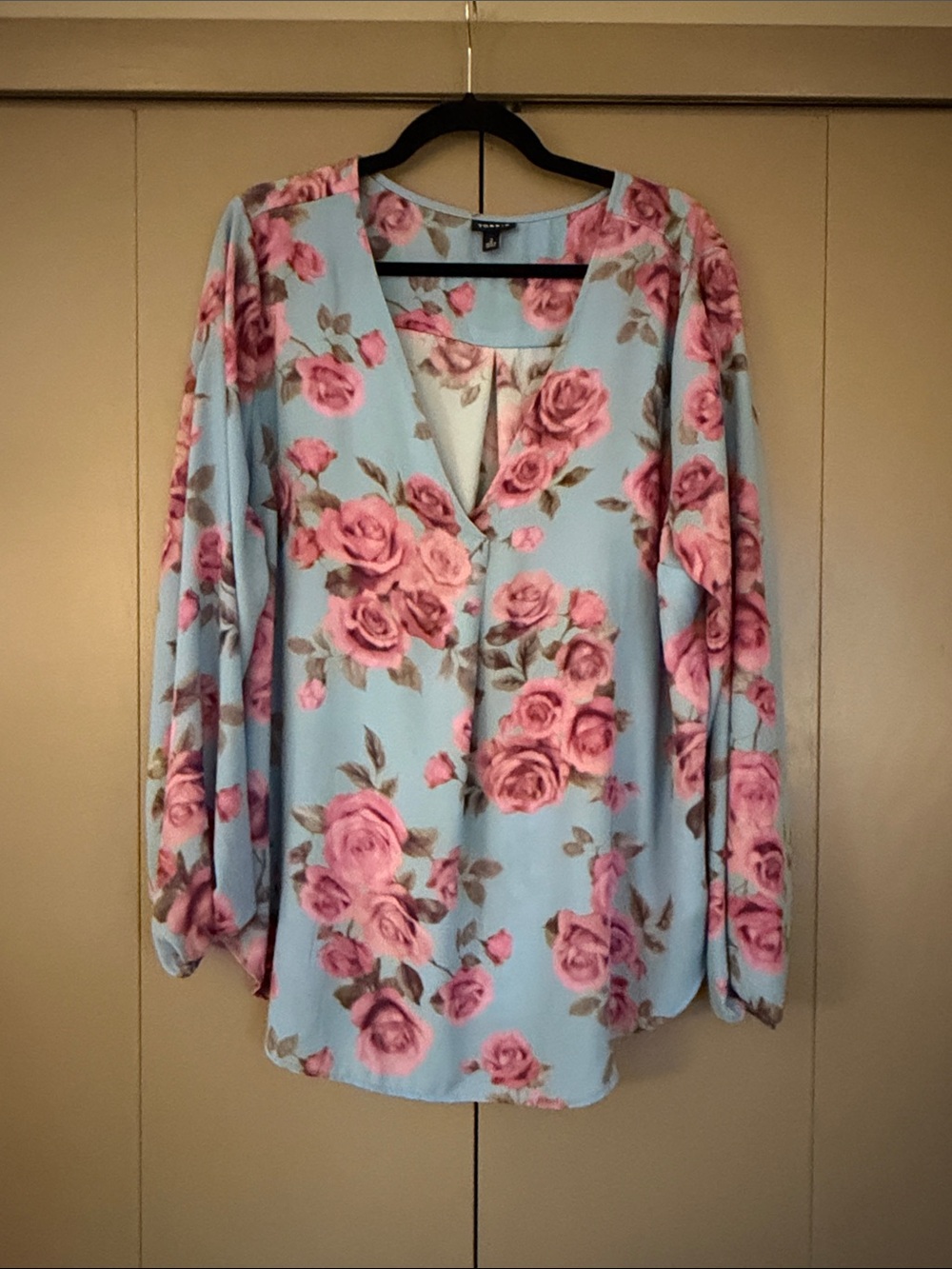 Floral V-Neck Long Sleeve Blouse - Pink Roses on Light Blue